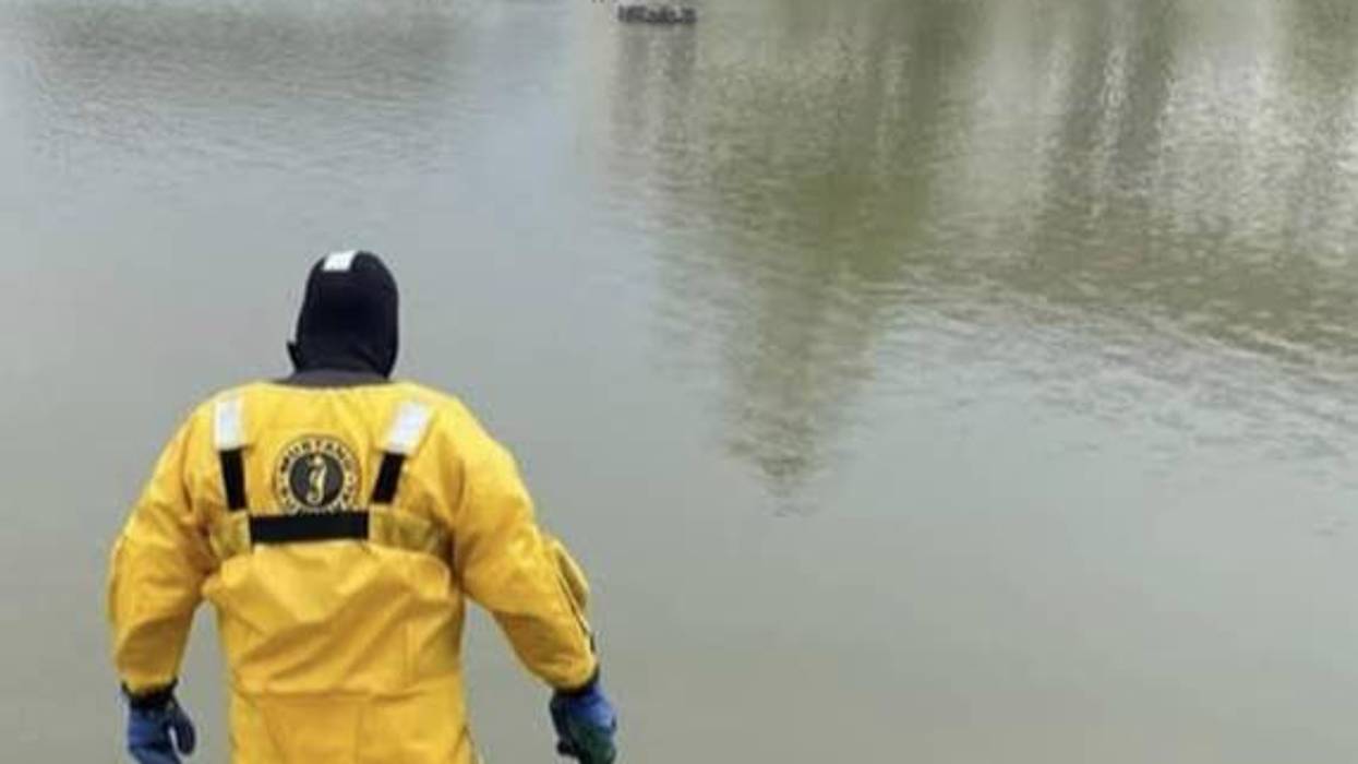 Portage firefighters rescue ducklings from pond