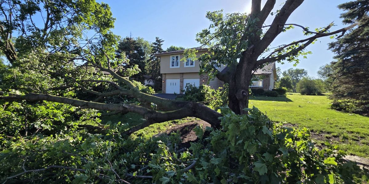 Bartlett assesses damage from storm