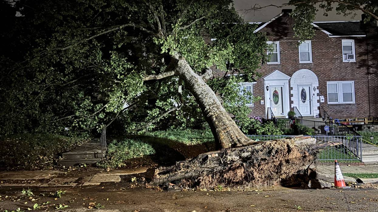 Tree falls on two homes in Northeast Philly during severe storms