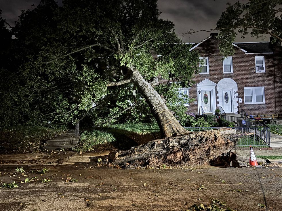 Tree falls on two homes in Northeast Philly during severe storms
