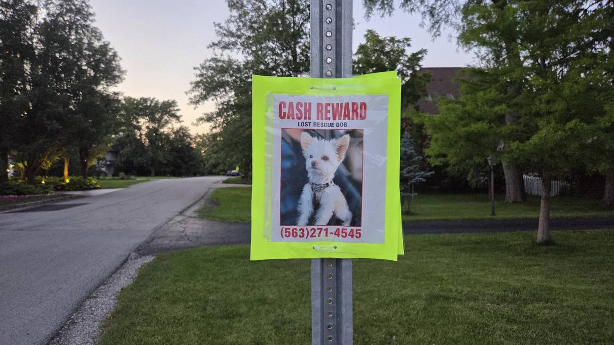Beloved pet still missing after month