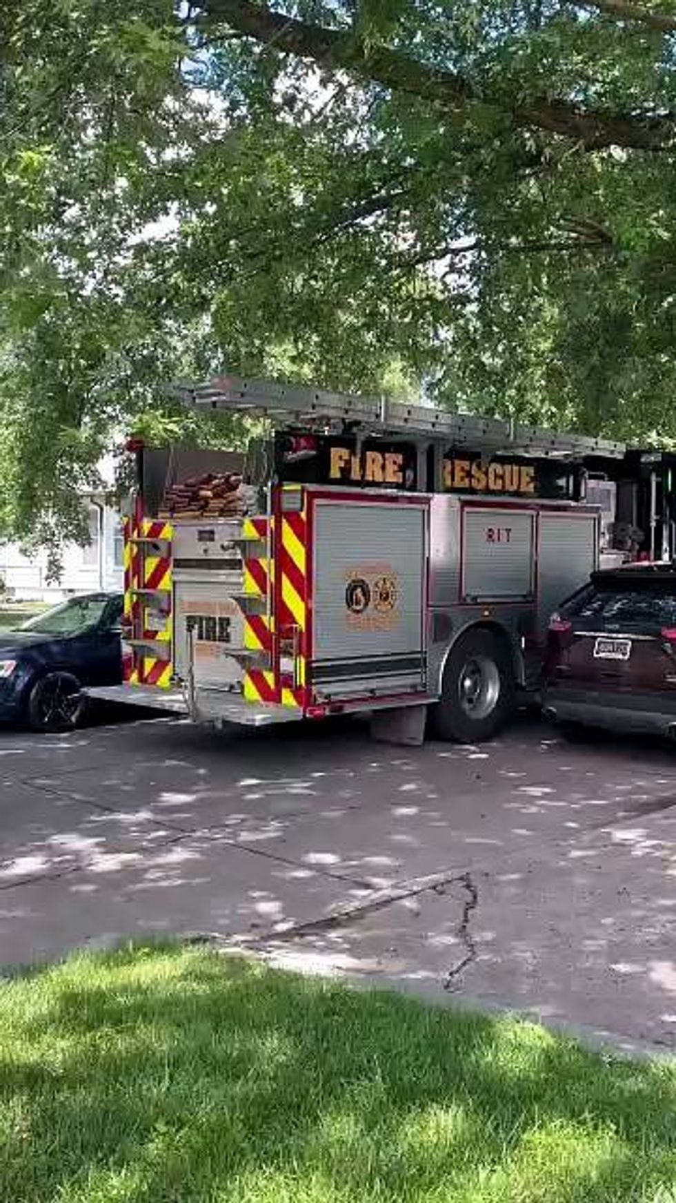 Authorities respond to alleged 'cat hoarder' home in Redford