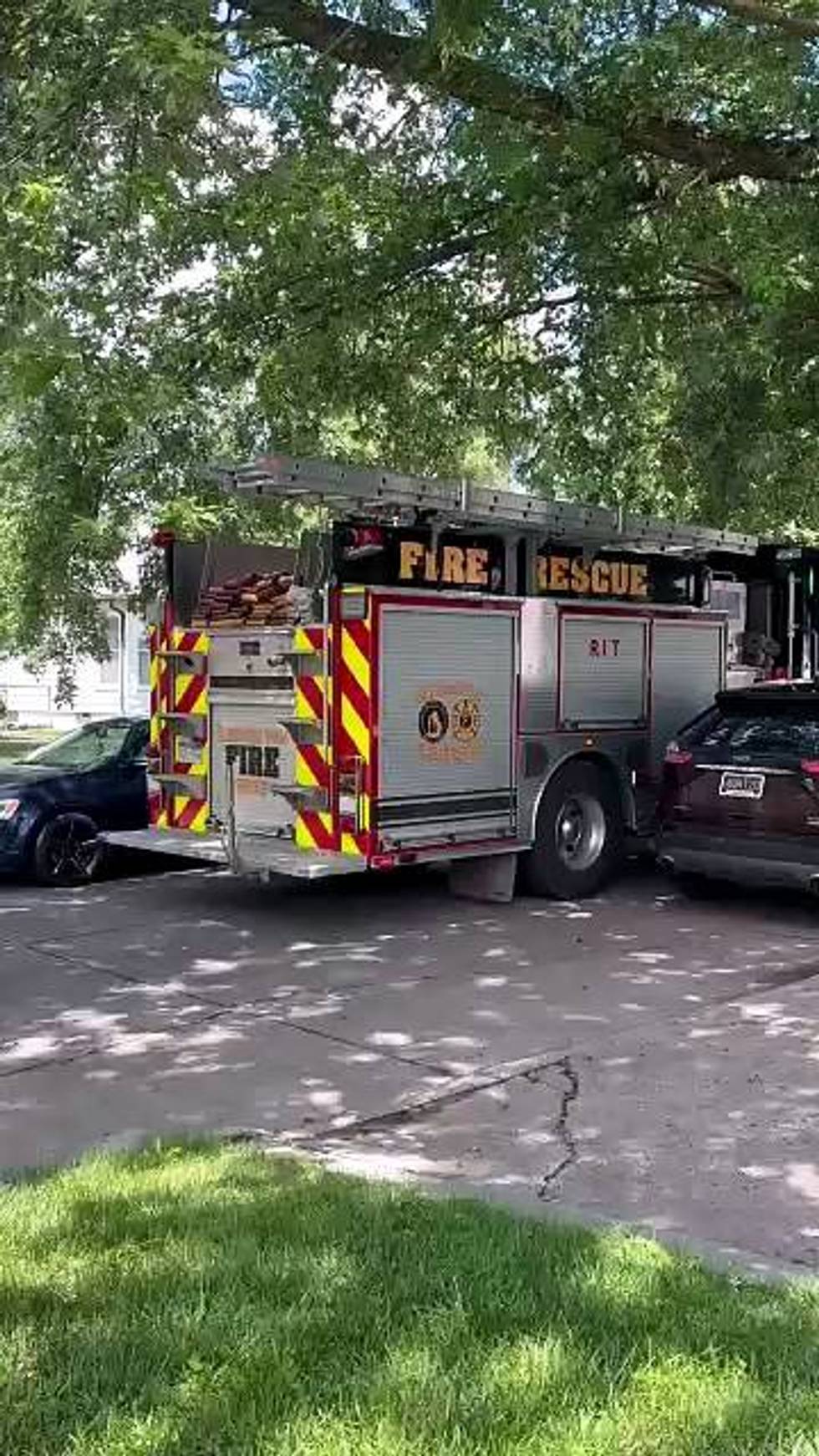 Authorities respond to alleged 'cat hoarder' home in Redford