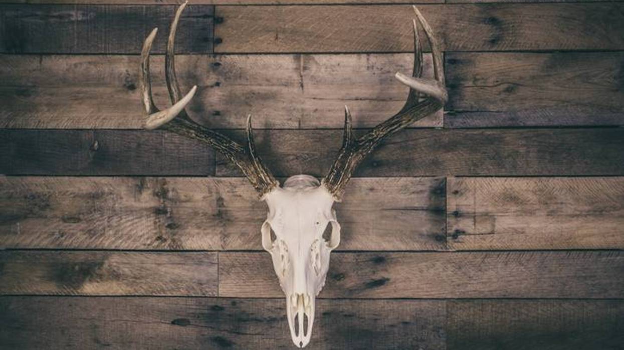 Doc Show Audio: Why a Deer Skull in the Tool Box?