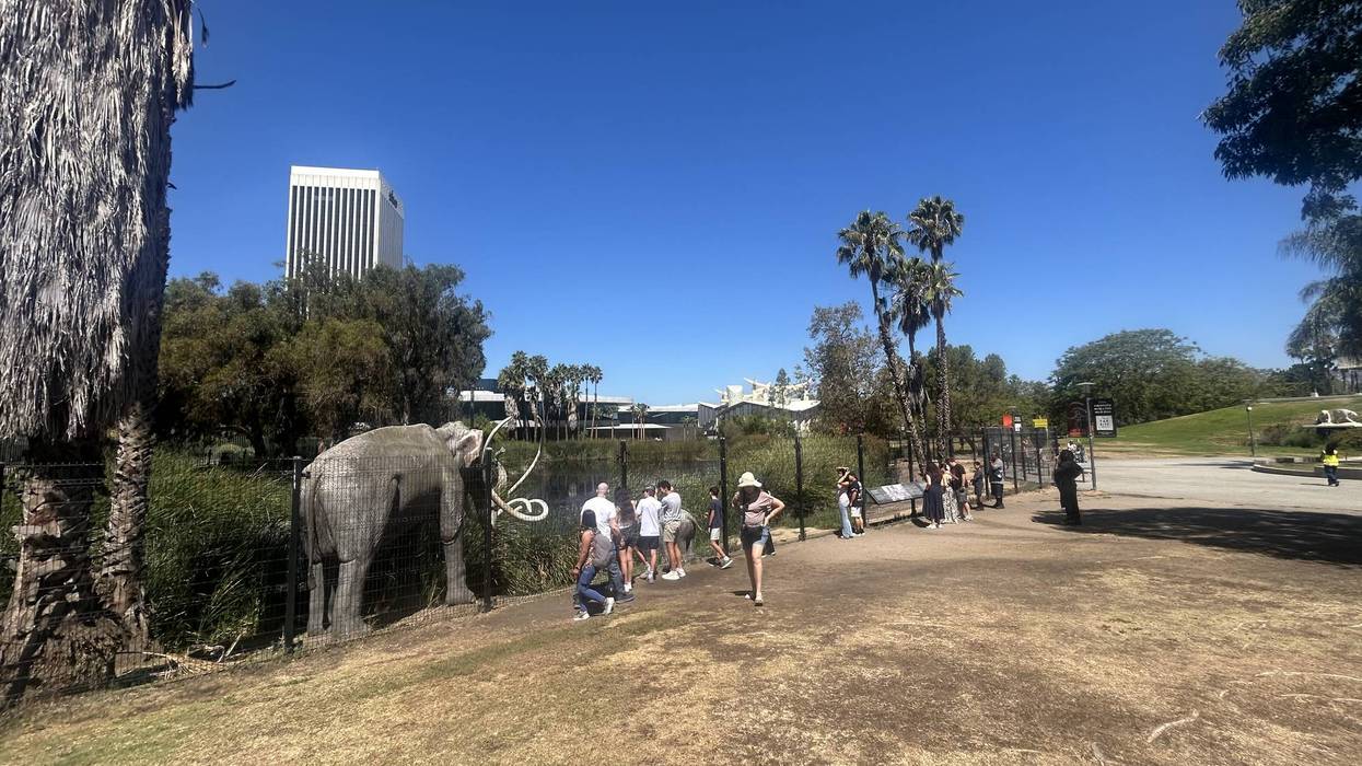 Parkgoers get one last look at La Brea Tar Pits before it closes for renovations