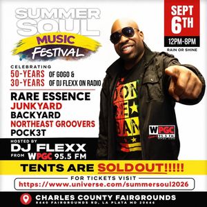 Summer Soul Music Festival