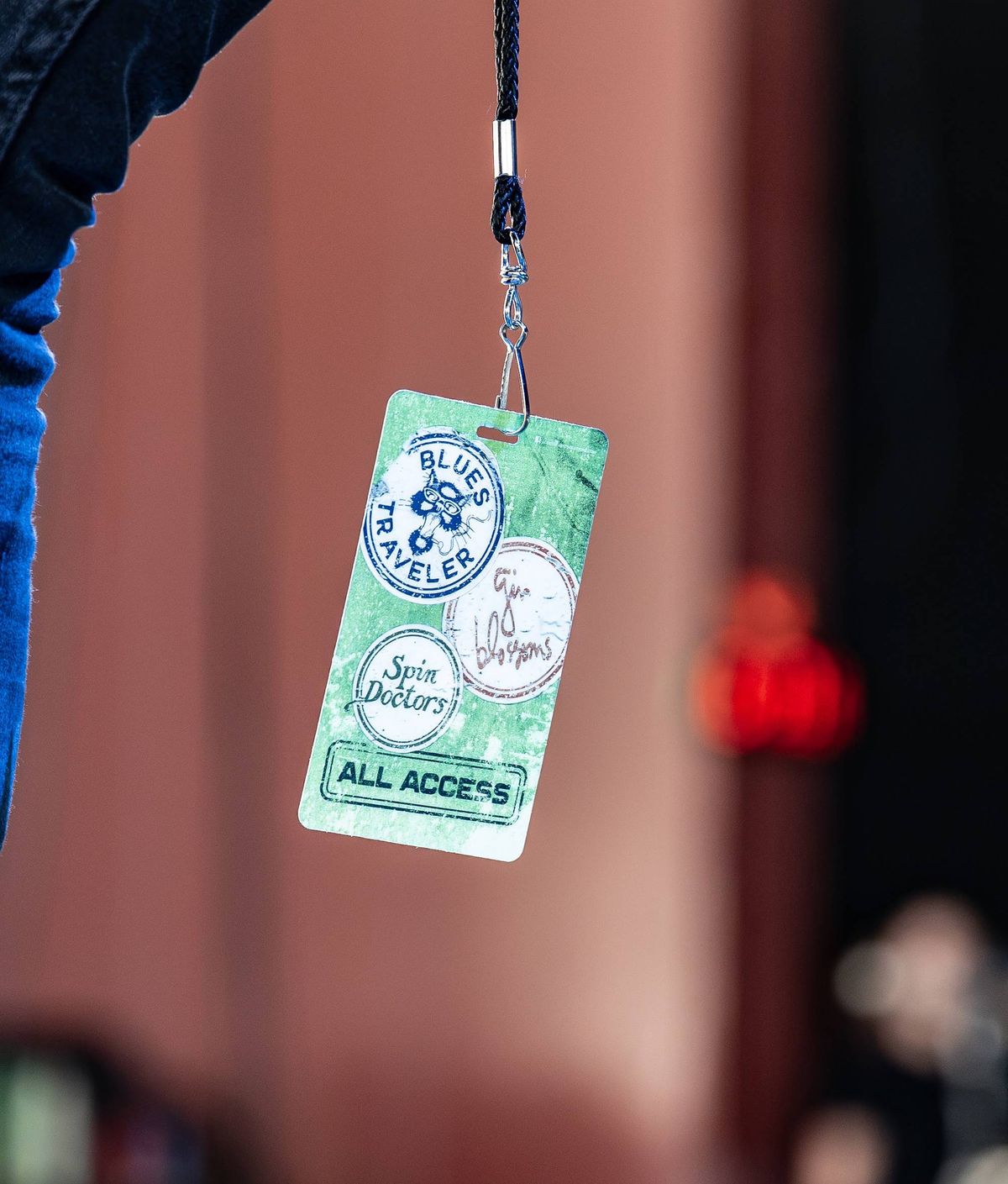 Blues Traveler and Gin Blossoms with Spin Doctors
