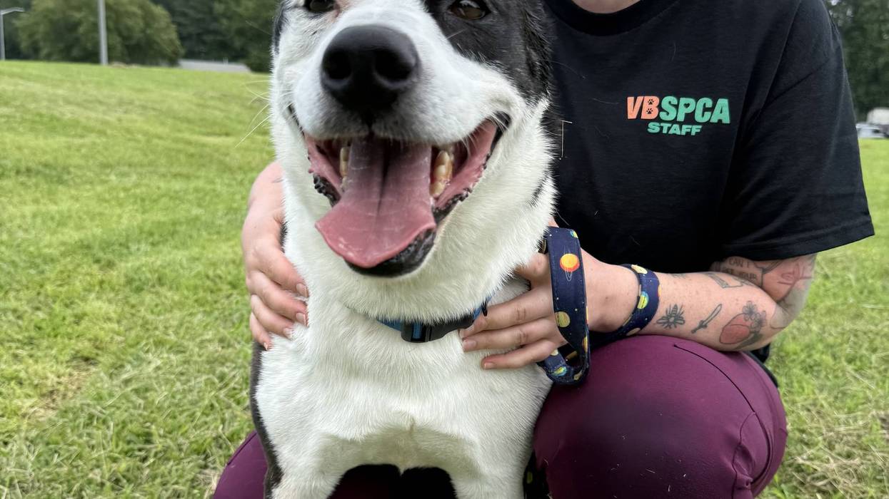 FURRY FRIDAY - Pet of the Week