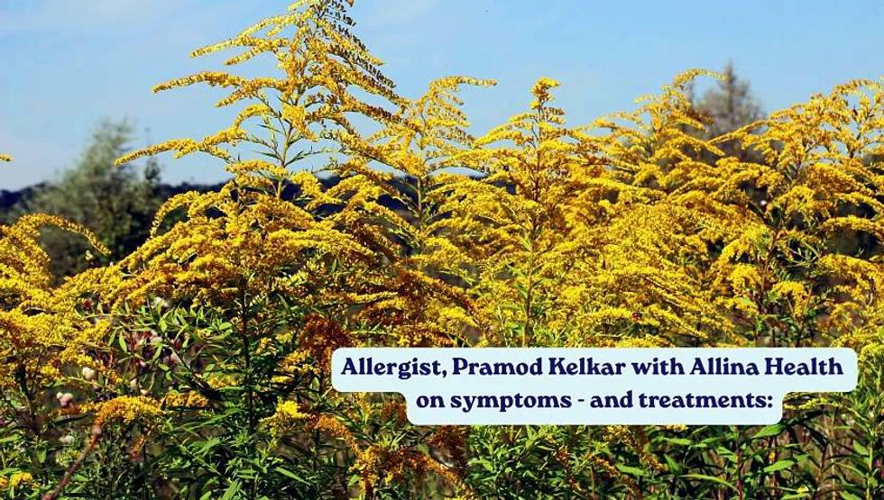Audacy News: Fall allergies are here, and in a big way. Here's what you can do about it: