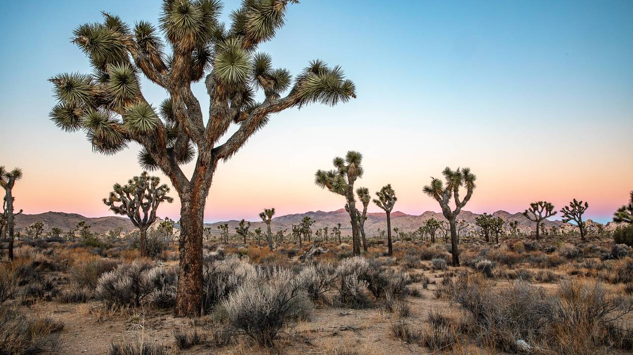 Free Entrance Day in the National Parks