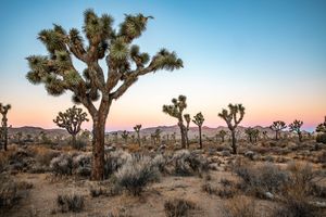 Free Entrance Day in the National Parks