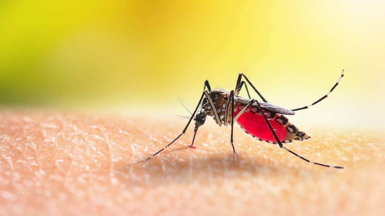 4 human cases of West Nile virus reported in Philly