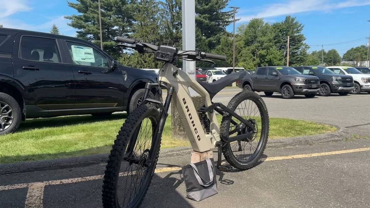 Wild, Free, and Now Electric!