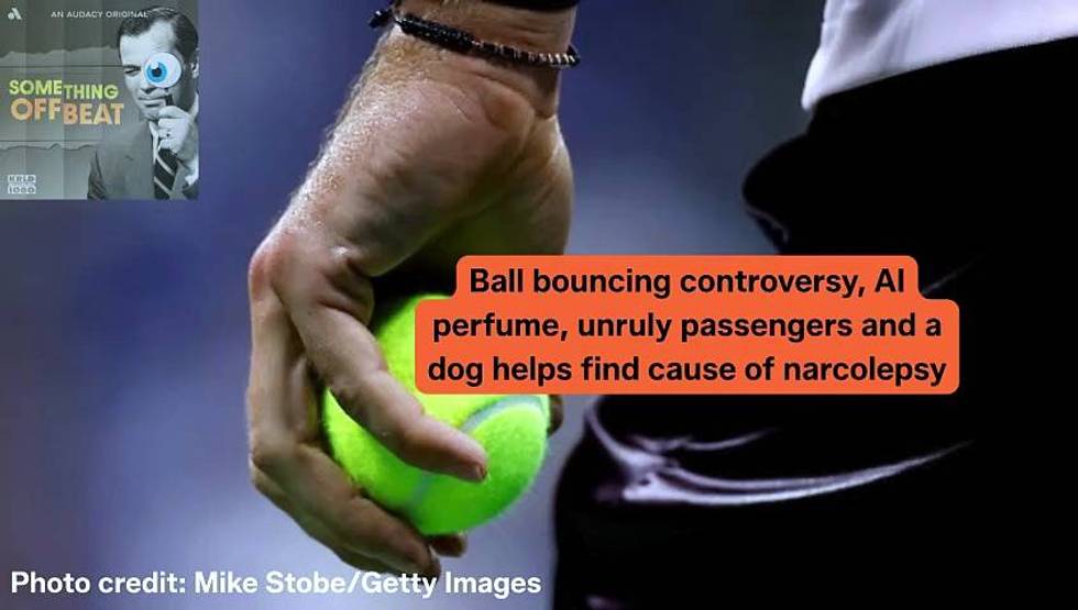 AUDACY NEWS' Something Offbeat: Ball bouncing controversy, AI perfume, unruly passengers and a dog helps find cause of narcolepsy