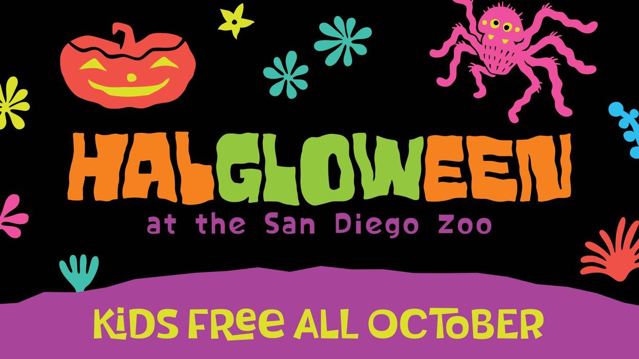 Can't Beat Kelli: San Diego Zoo Family 4-packs!