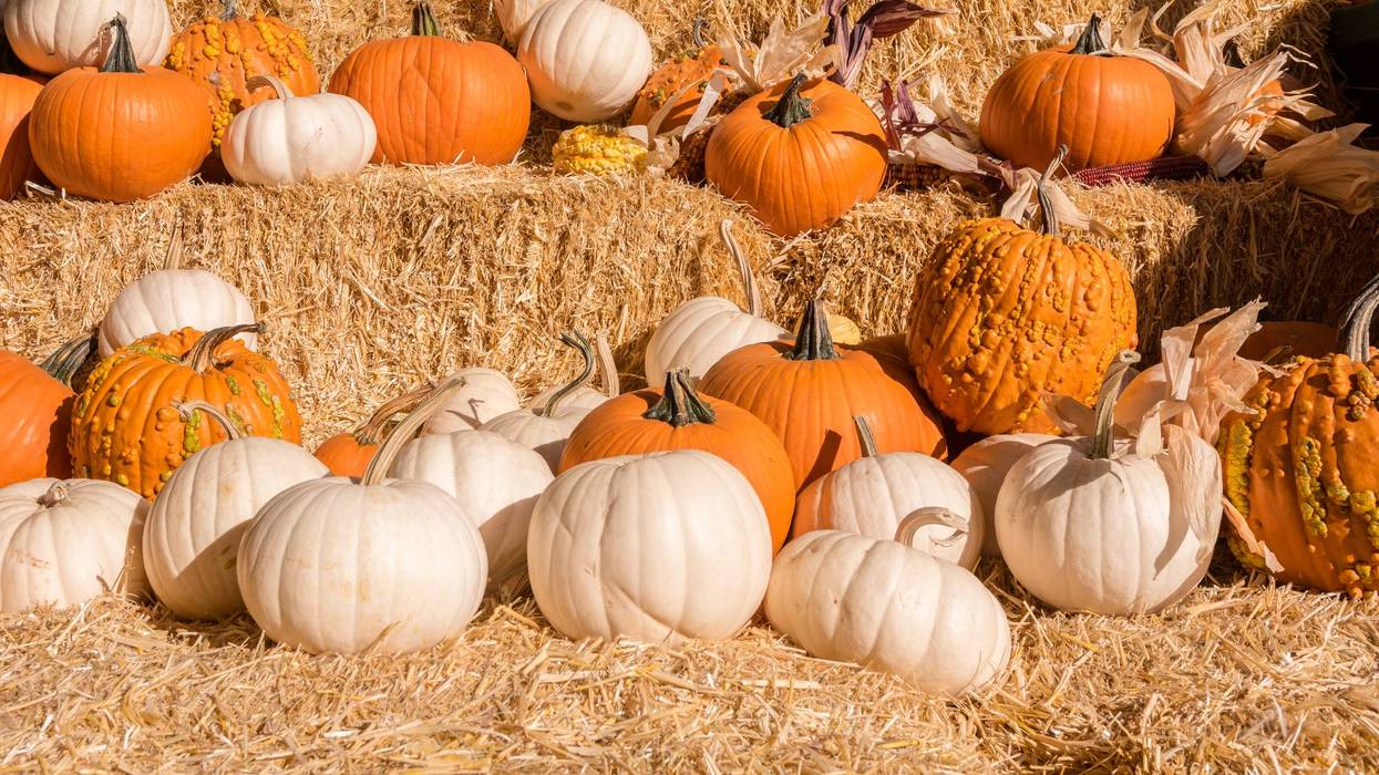 Children's Halloween Haunt