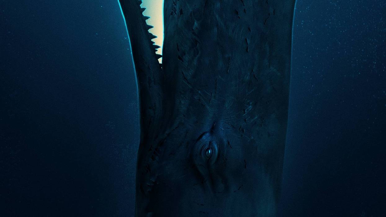 Your chance to win tickets to a movie screening of WHALEFALL on October 13th