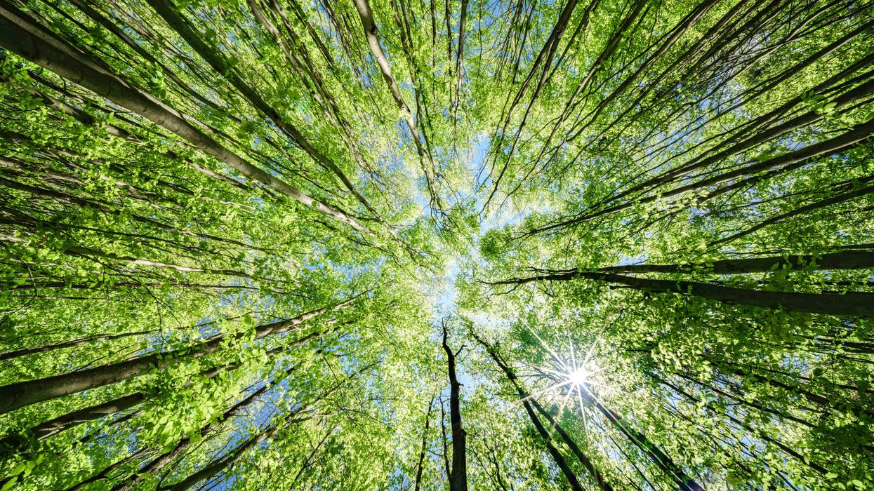 Pa. investing more than $400K in environmental protection and education