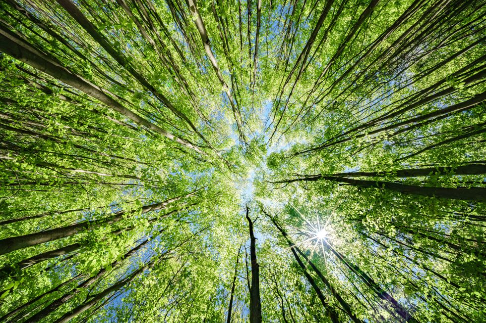 Pa. investing more than $400K in environmental protection and education