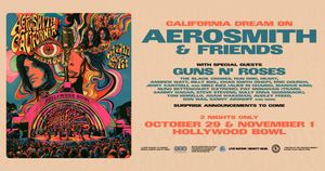Aerosmith & Friends