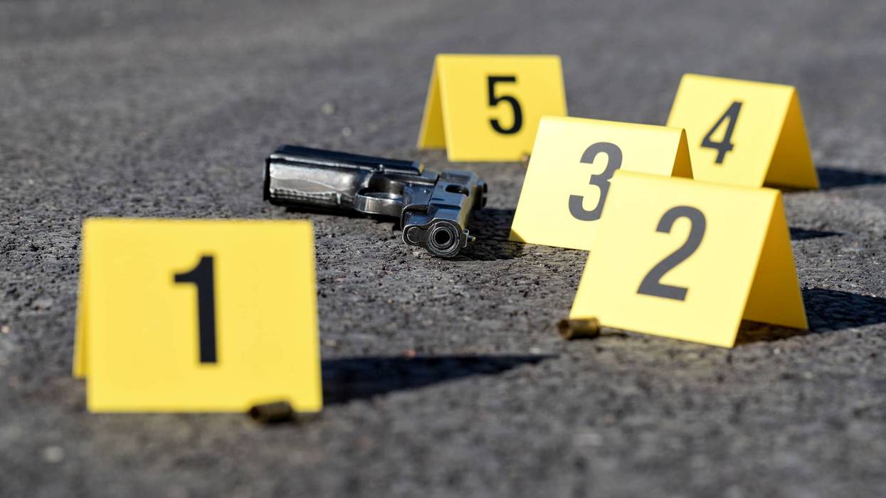 A man and a woman from Chicago charged with road rage shooting on I-55