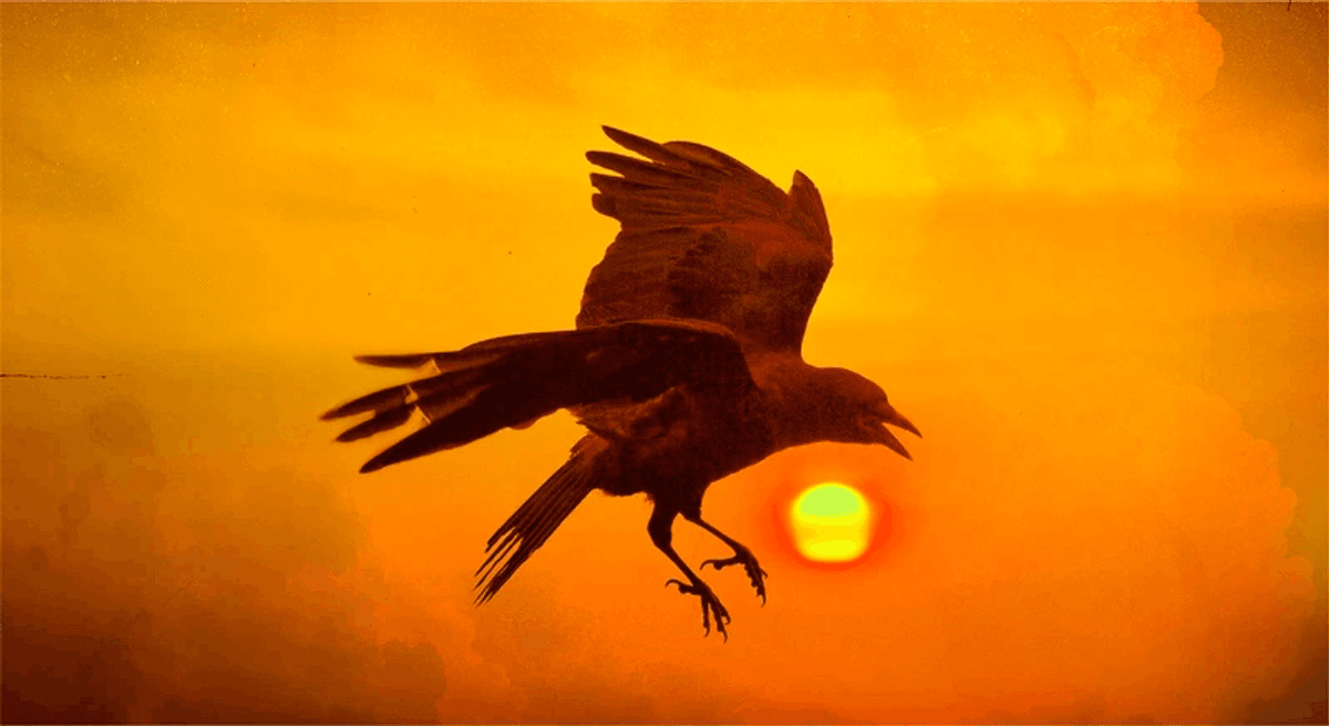 Melissa Etheridge Ticket Giveaway