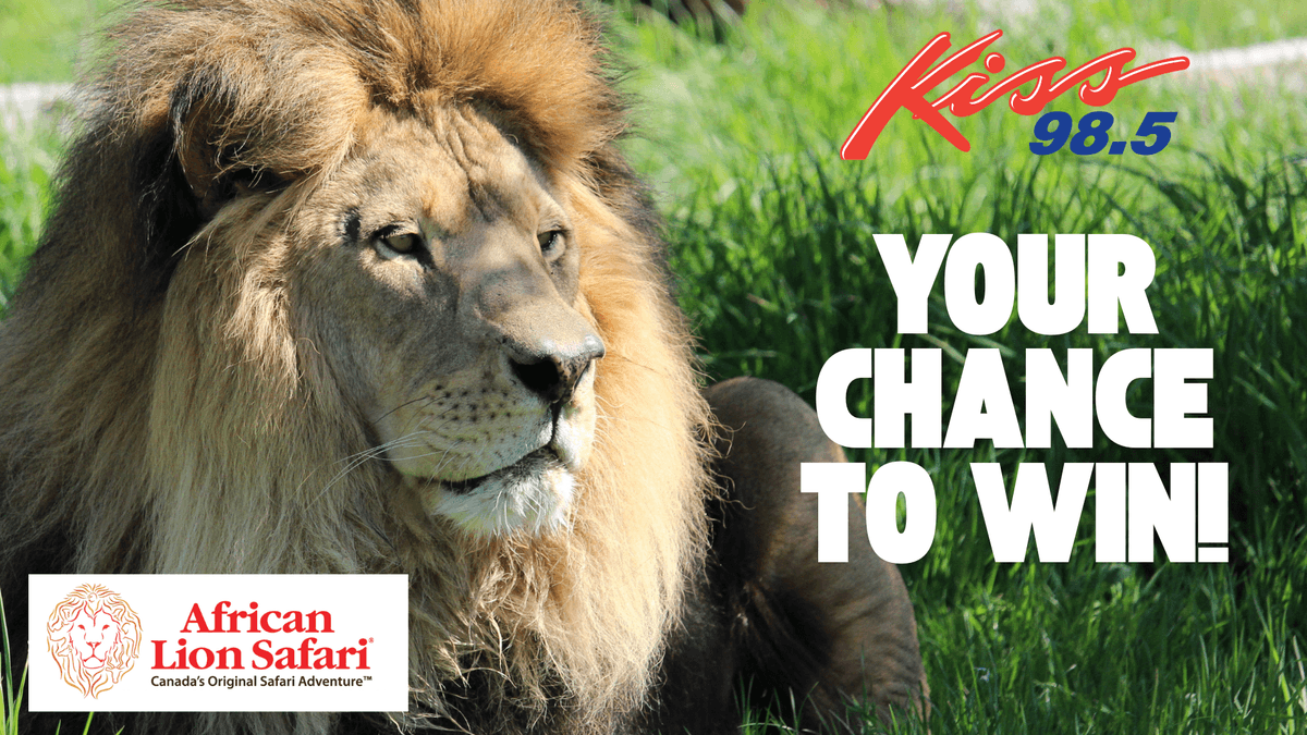 KISS: Win a Family Pass to African Lion Safari in Canada