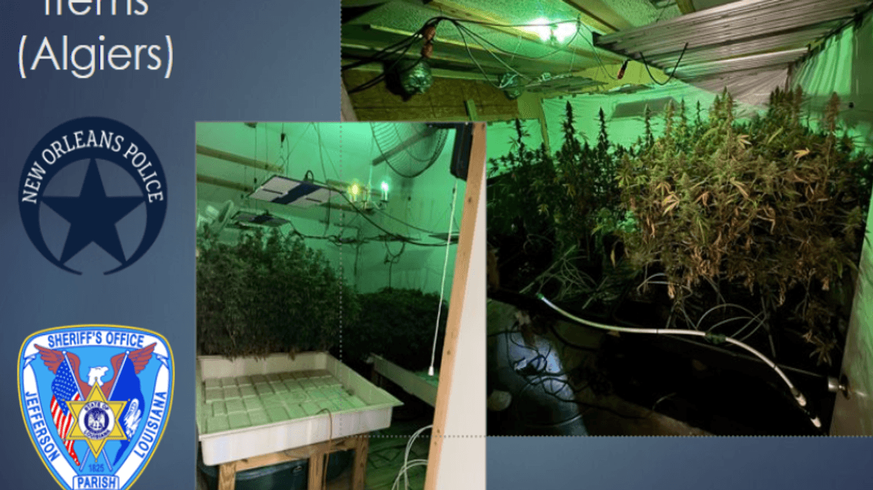 The weed conundrum: You can possess it but you can't grow it or sell it. How does that work?