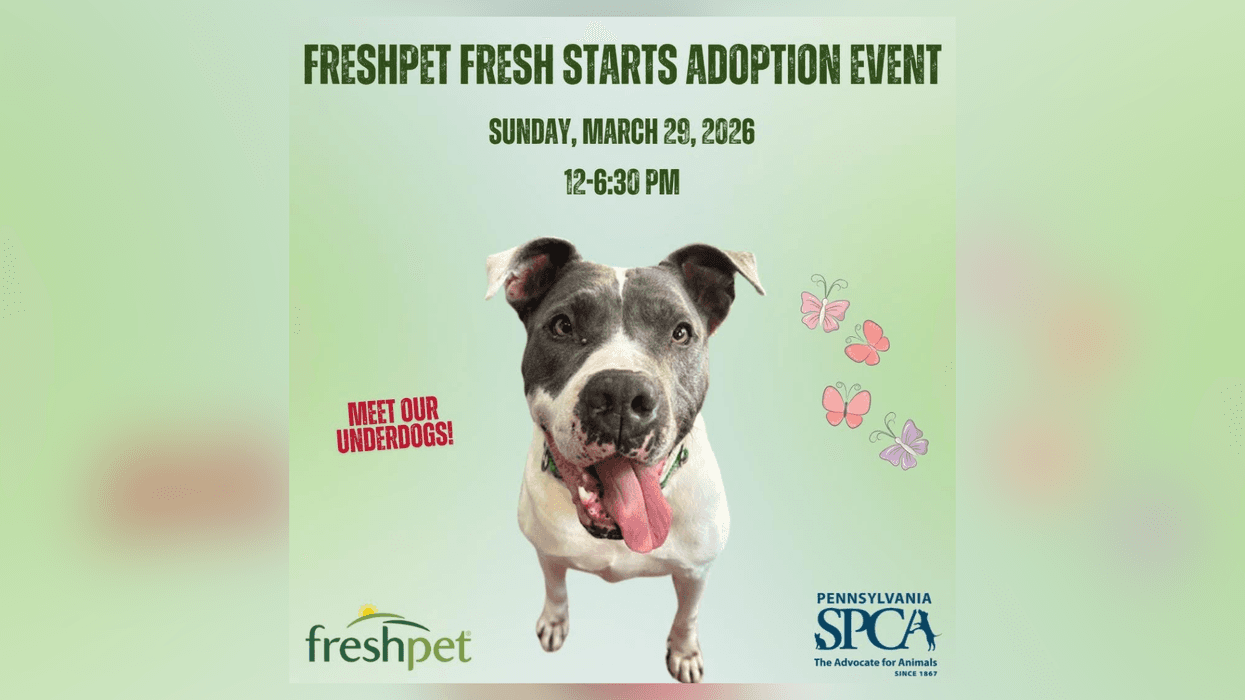 PSPCA Freshpet Fresh Starts Adoption Event