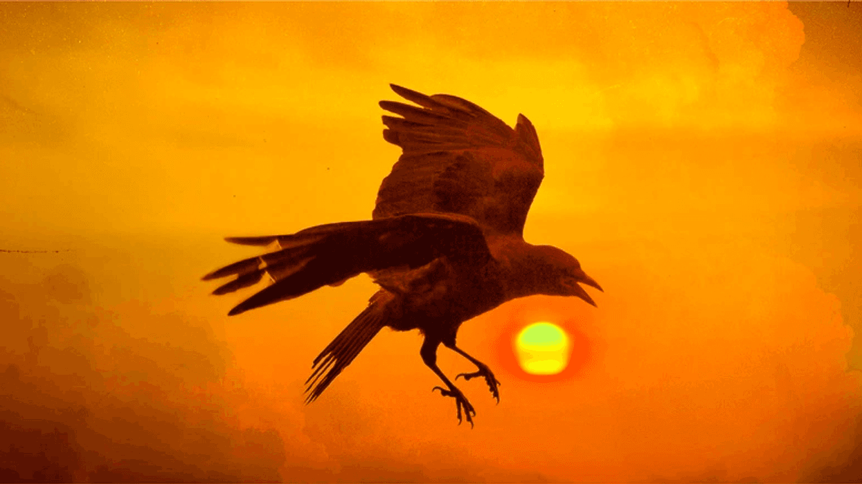 Melissa Etheridge Ticket Giveaway