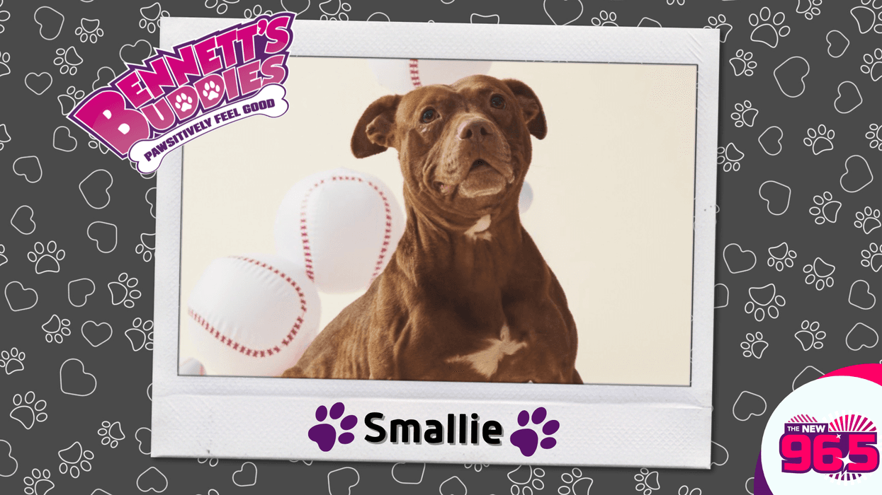 Meet Smallie! Bennett's Buddies at the PSPCA
