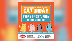 PSPCA April Caturday