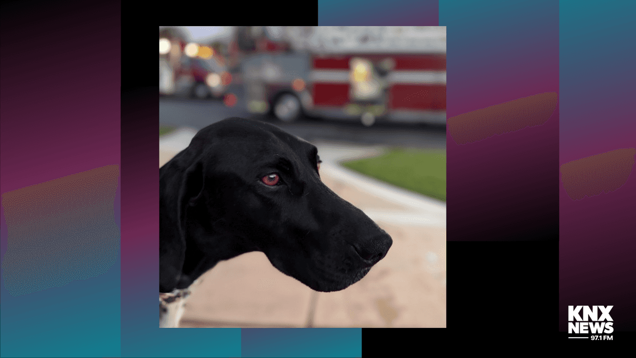 OC dog rescues family from house fire