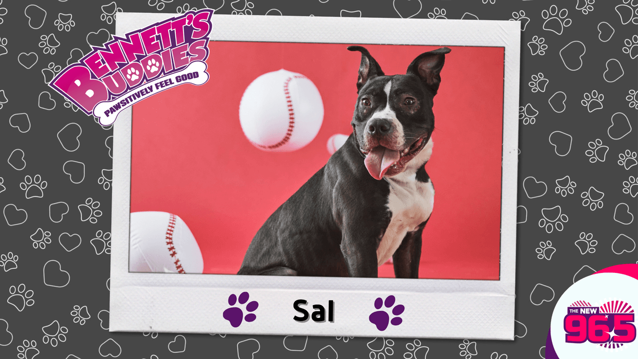 Meet Sal! Bennett's Buddies at the PSPCA