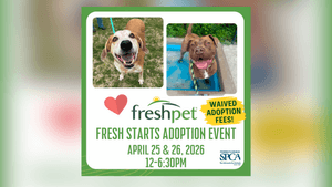 PSPCA Freshpet Adoption Event