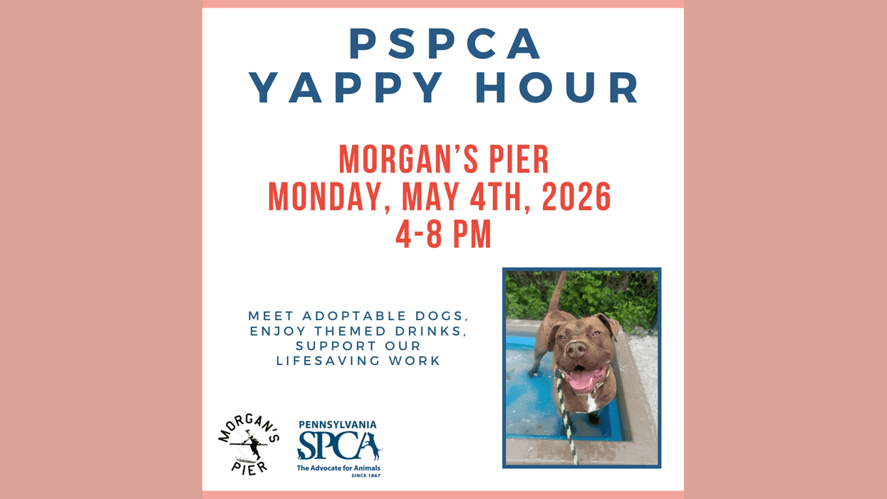 PSPCA Yappy Hour at Morgan's Pier