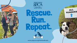 PSPCA 15th Annual Tails & Trails 5K Run / 2K Walk