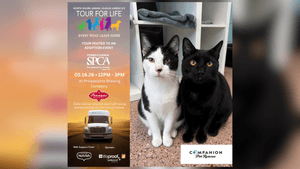 PSPCA'S Tour For Life Mobile Adoption Event