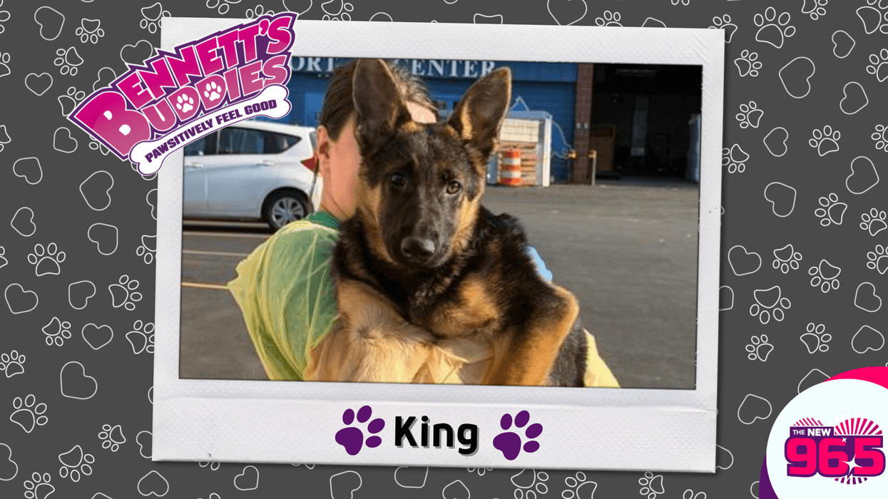 Meet King! Bennett's Buddies at the PSPCA