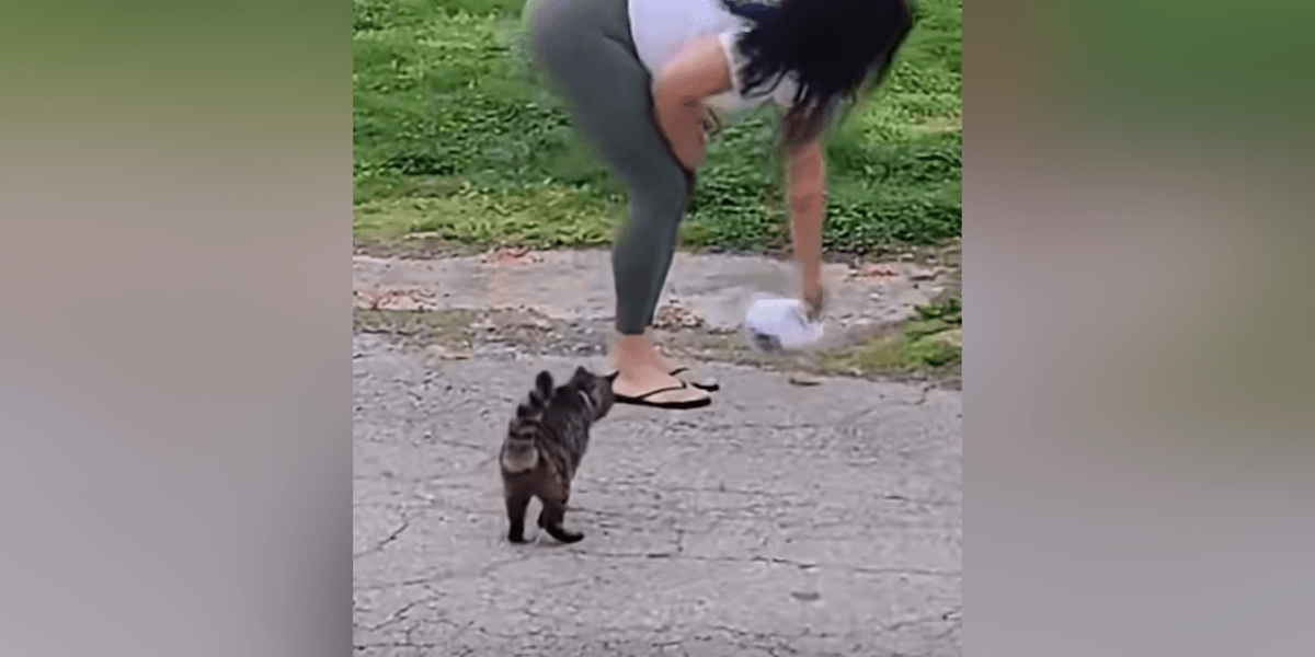PSPCA investigating viral video of Delco woman seemingly pouring bleach on cat food