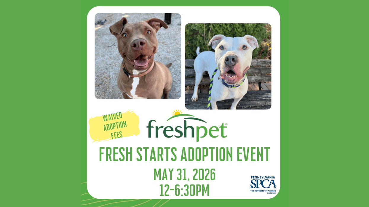 PSPCA Freshpet Fresh Starts Adoption Event