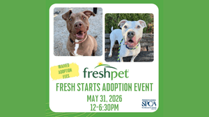 PSPCA Freshpet Fresh Starts Adoption Event