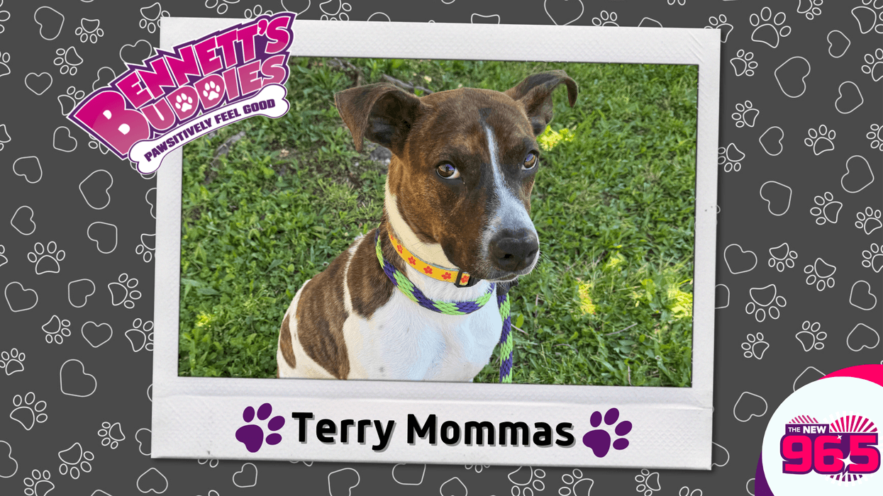 Meet Terry Mommas! Bennett's Buddies at the PSPCA