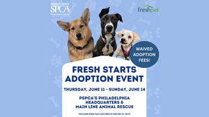 PSPCA Fresh Starts Waived-Fee Adoption Event