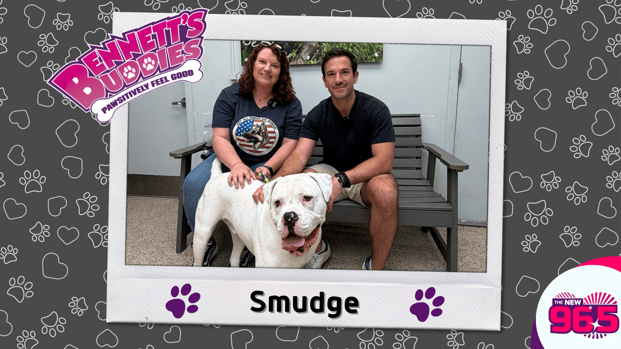 Meet Smudge! Bennett's Buuddies at the PSPCA