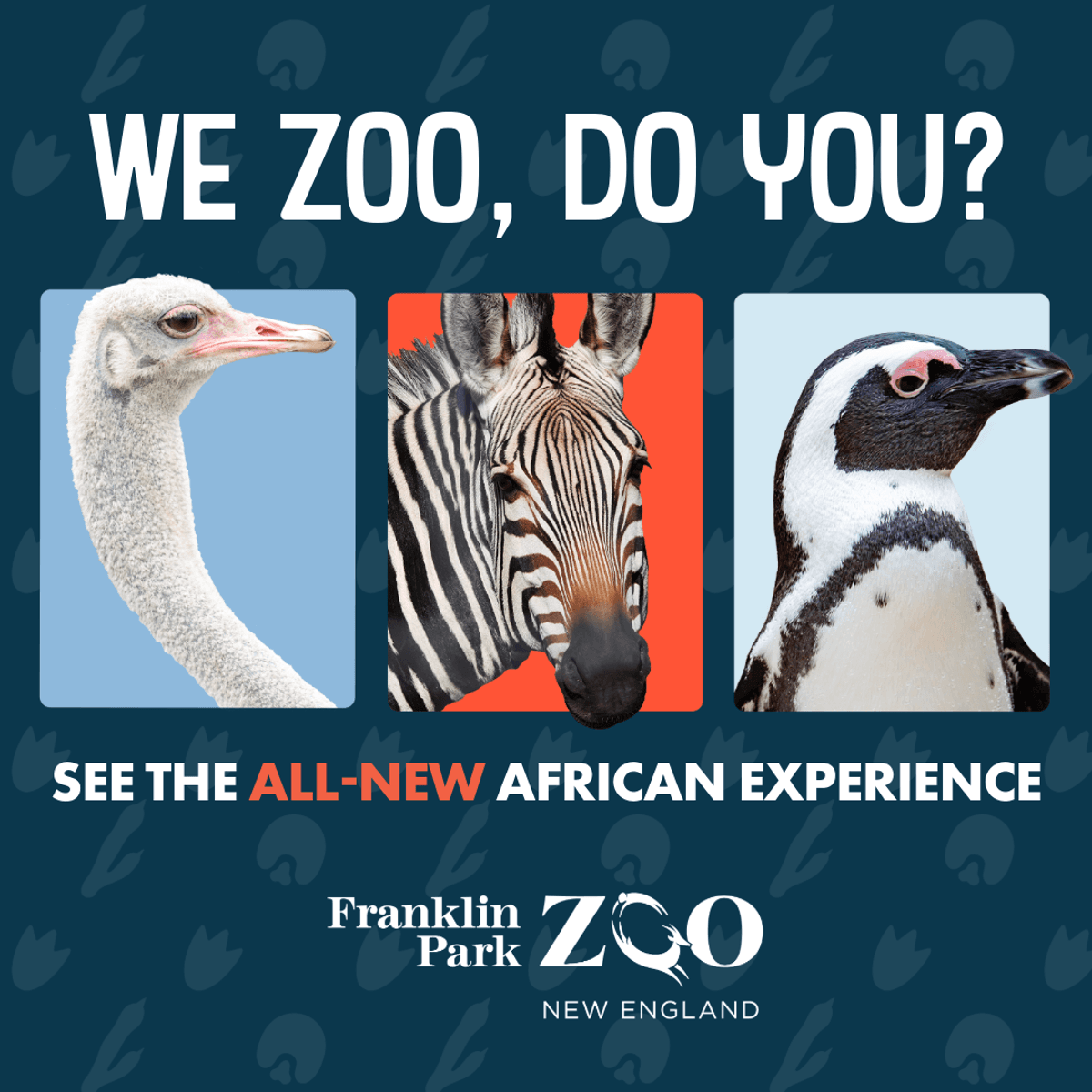 Franklin Park Zoo Ticket Sweepstakes
