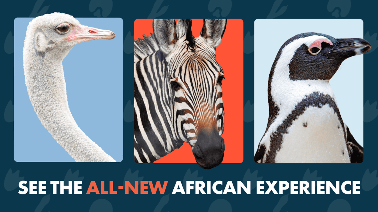 Franklin Park Zoo Ticket Sweepstakes