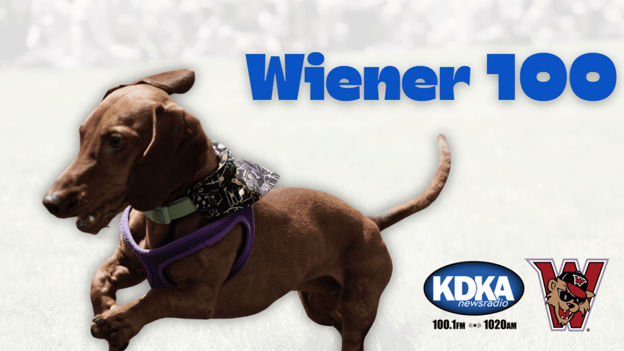 Wiener 100
