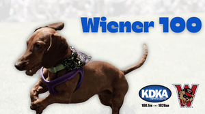 Wiener 100