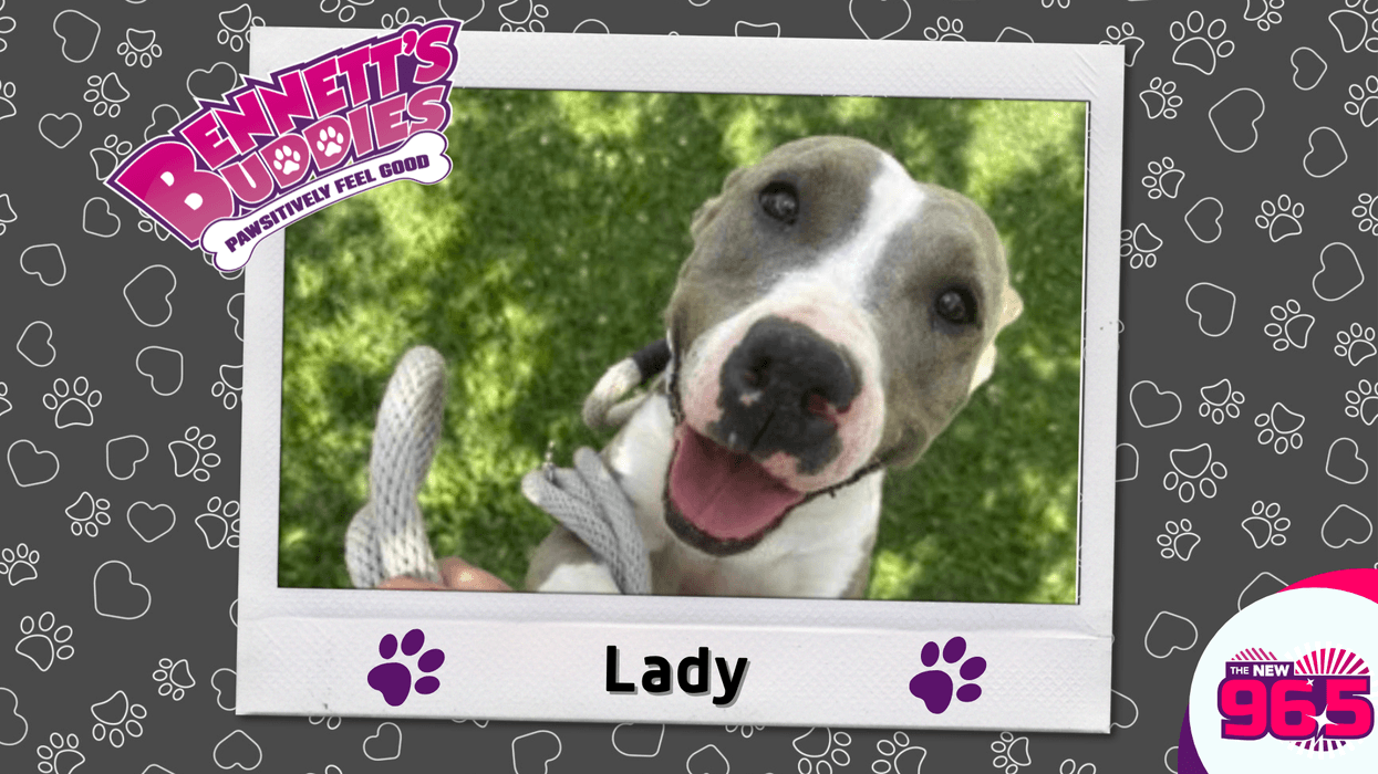 Meet Lady! Bennett's Buddies at the PSPCA